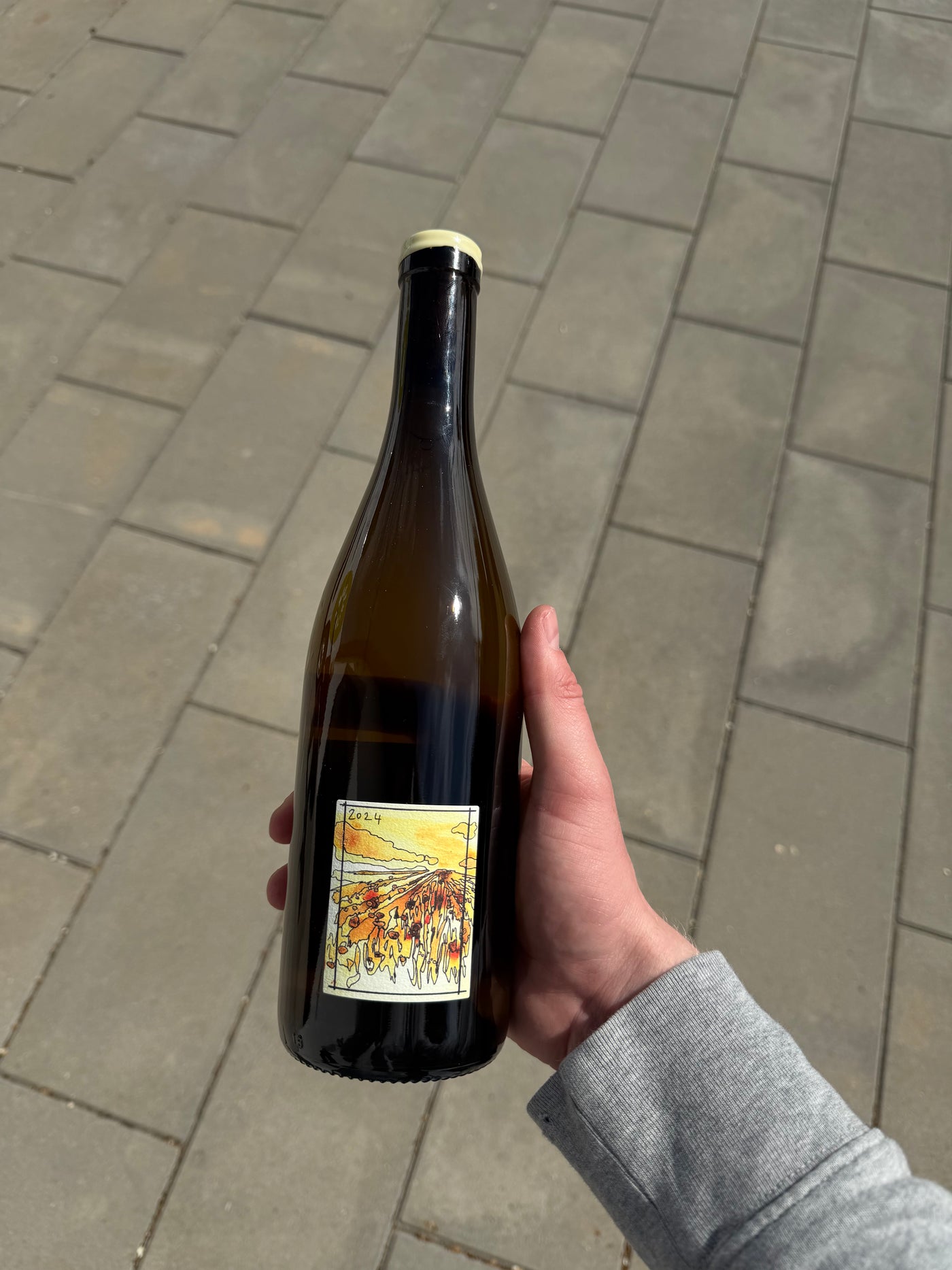 Wills Wine Radiance 2024, hvidvin fra Nord Rhône (Condrieu)