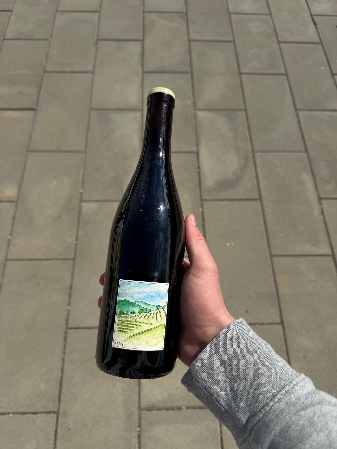 Wills Wine Du Plateau 2024, rødvin fra Nord Rhône (Condrieu)