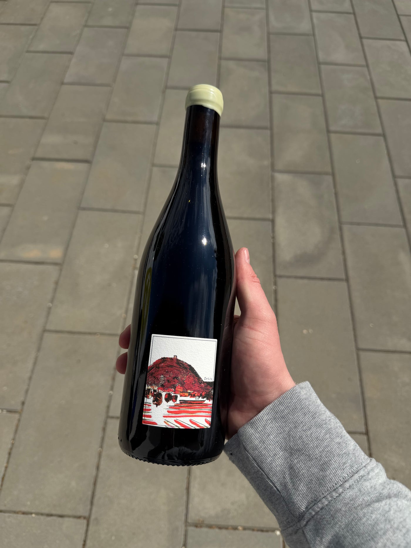Wills Wine Avant Midi 2024, rødvin fra Nord Rhône (Condrieu)