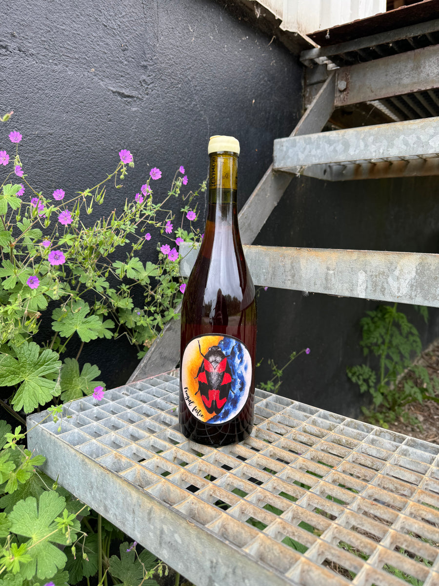 Oxymore Frugal Festin 2023, hvidvin fra Jura (Domblans)