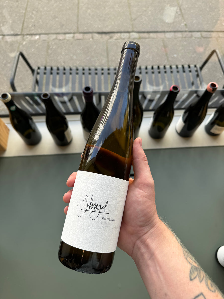 Alexander Schregel Lorcher Bodental-Steinberg 2023, hvidvin fra Rüdesheim, Rheingau