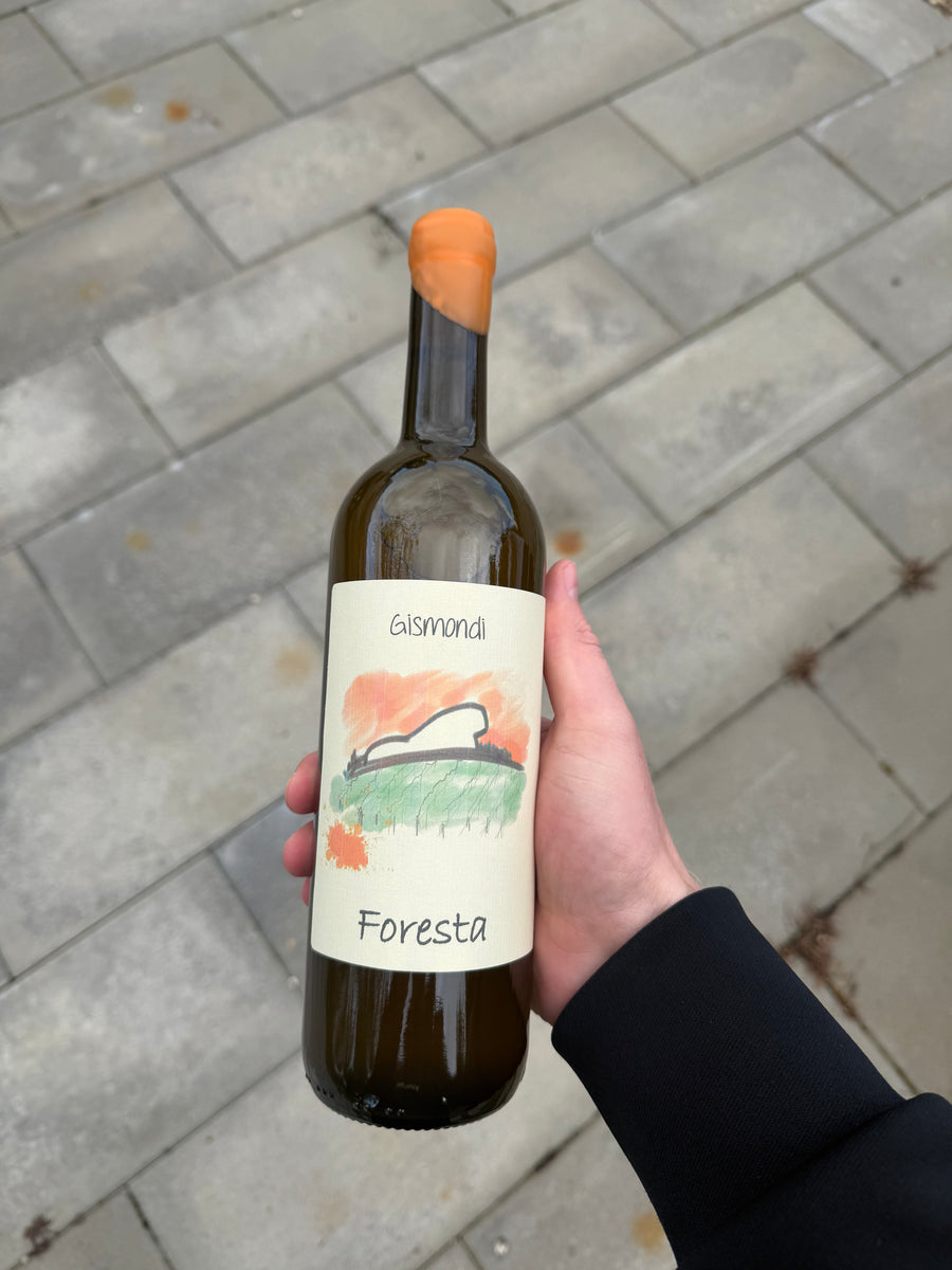 Gismondi - Foresta '25