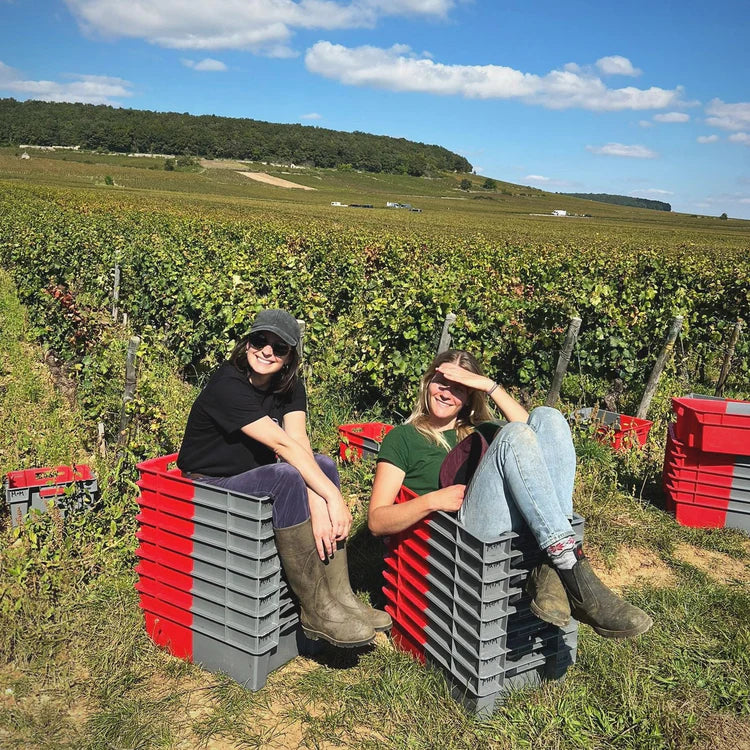 Domaine d'Alussia