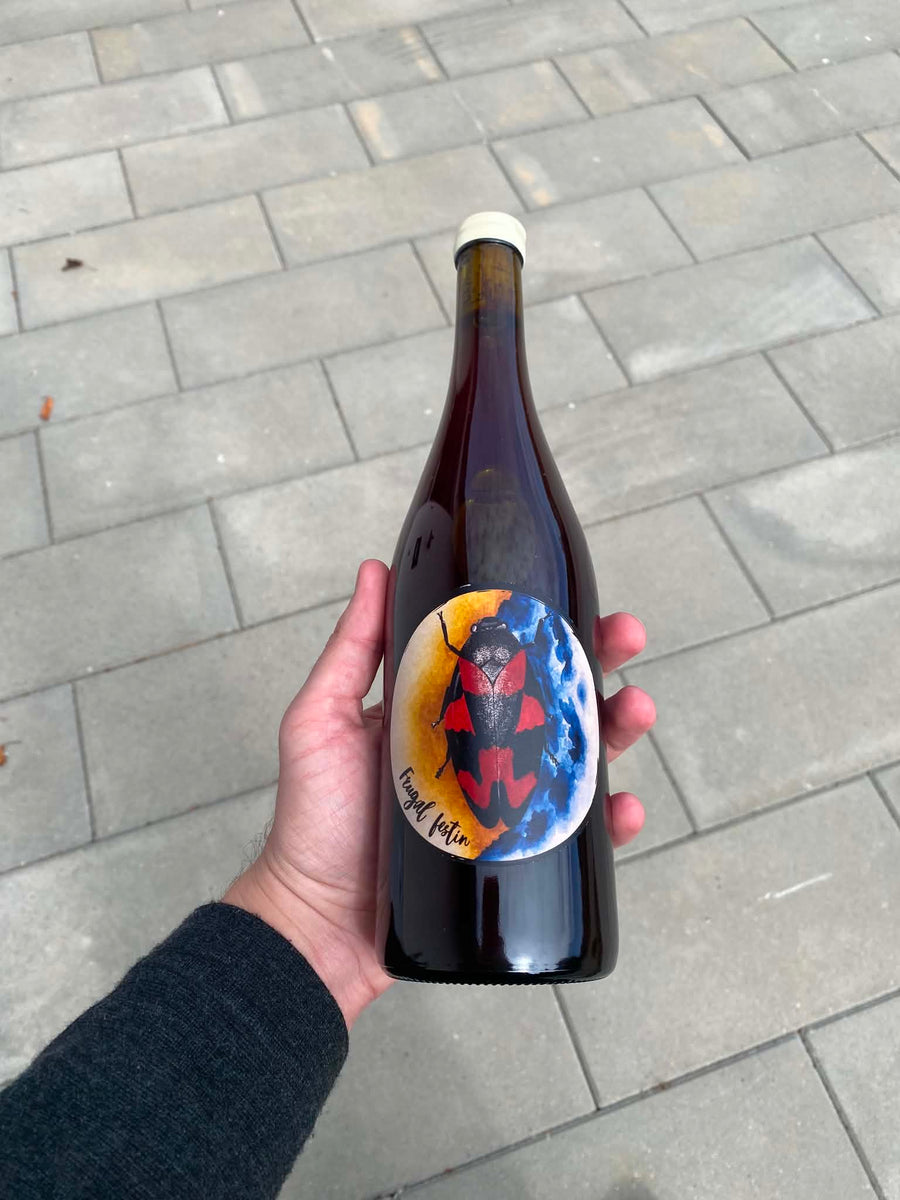 Oxymore Frugal Festin 'Côtes du Jura' 2025, rødvin fra Jura (Domblans)
